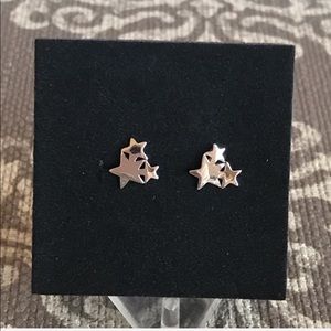 Sterling Silver Tro Star Earrings